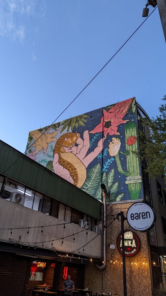 Street Art Mural Medellín Colombia