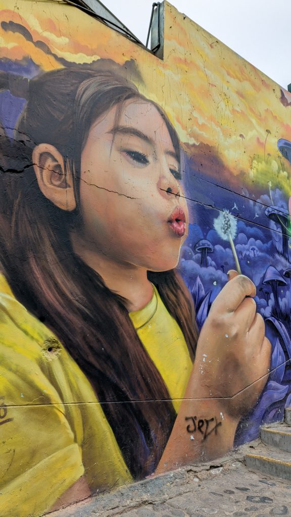 Dandelion street art in Miraflores
