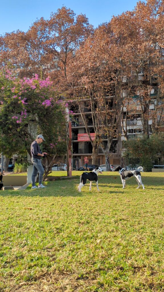 Plaza San Miguel de Garicoits, Buenos Aires