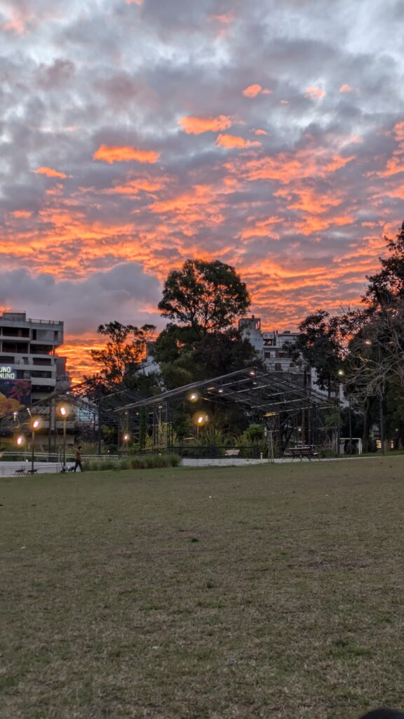 Park in Colegiales