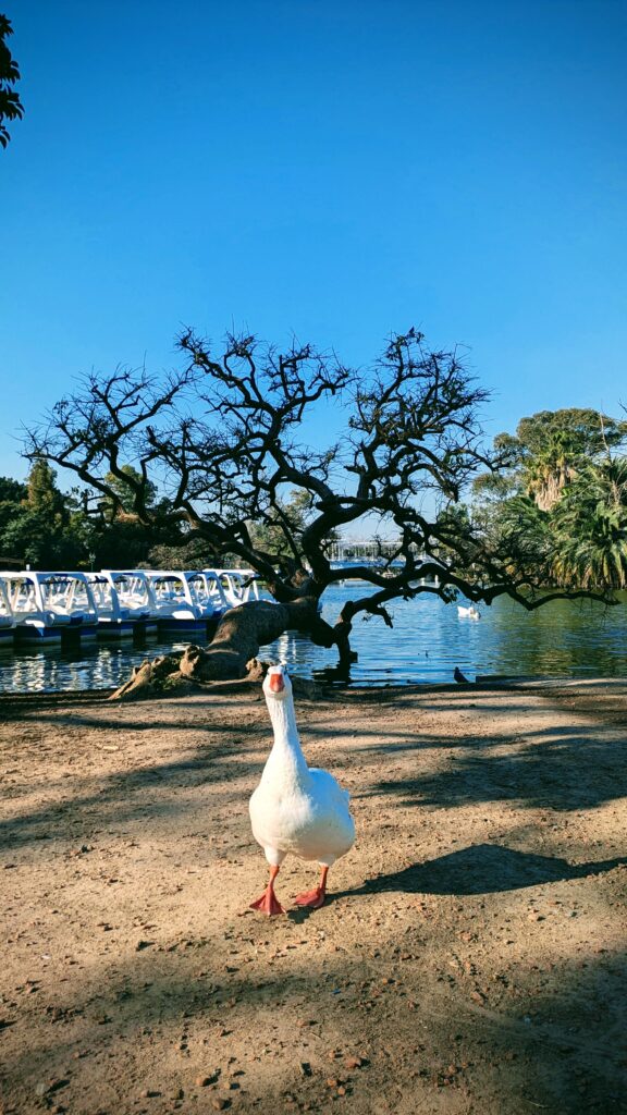 El Rosedal, Buenos Aires